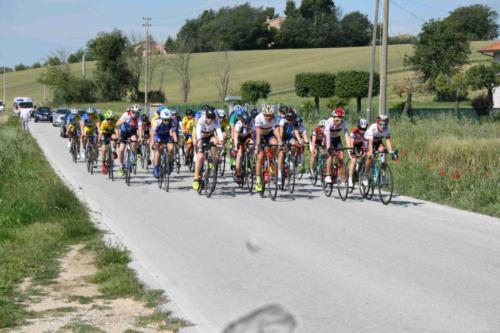 2019-06-02-09h49m29-1