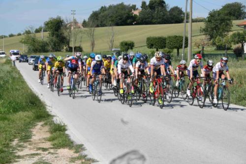 2019-06-02-09h49m29-2