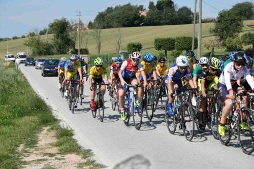 2019-06-02-09h49m30-1